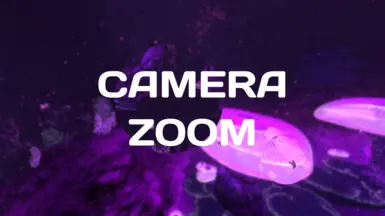 Camera Zoom