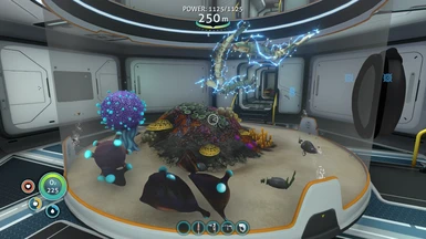 subnautica eggs disappeared from tank