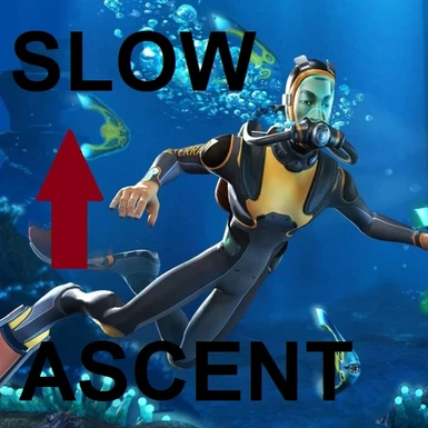 Slow Ascent