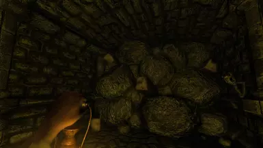 Amnesia 2015 11 22 21 53 07 49