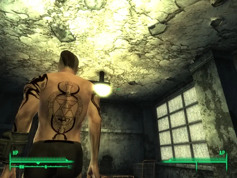 Tattoos For Males Caucasian At Fallout 3 Nexus Mods And Community