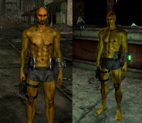 fallout new vegas male body replacer
