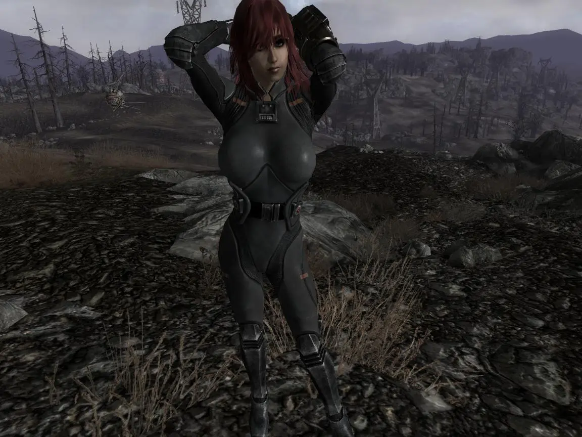 Моды на Fallout 3 18