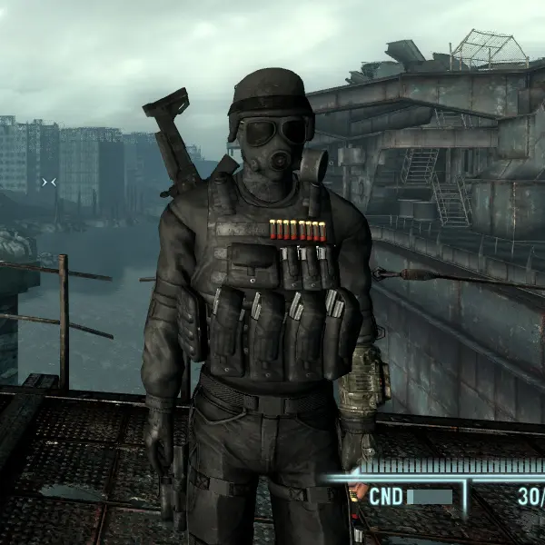 Mercenaries Rethought at Fallout 3 Nexus - Mods and community