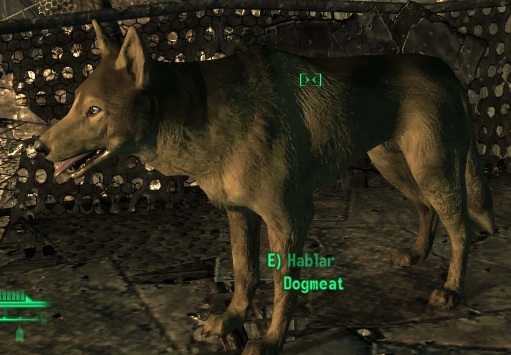 golden DOGMEAT at Fallout 3 Nexus - Mods and community