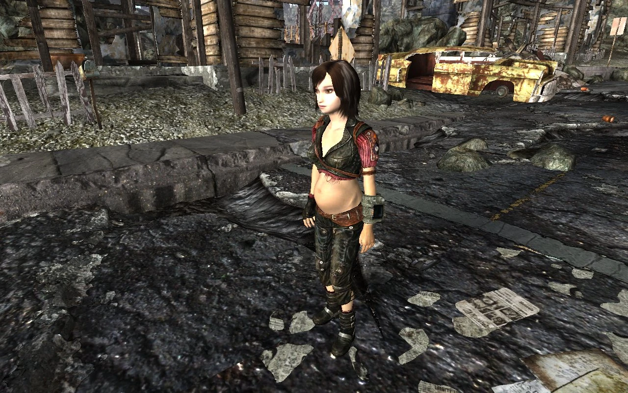 Pregnancy Armors at Fallout 3 Nexus - Mods and community