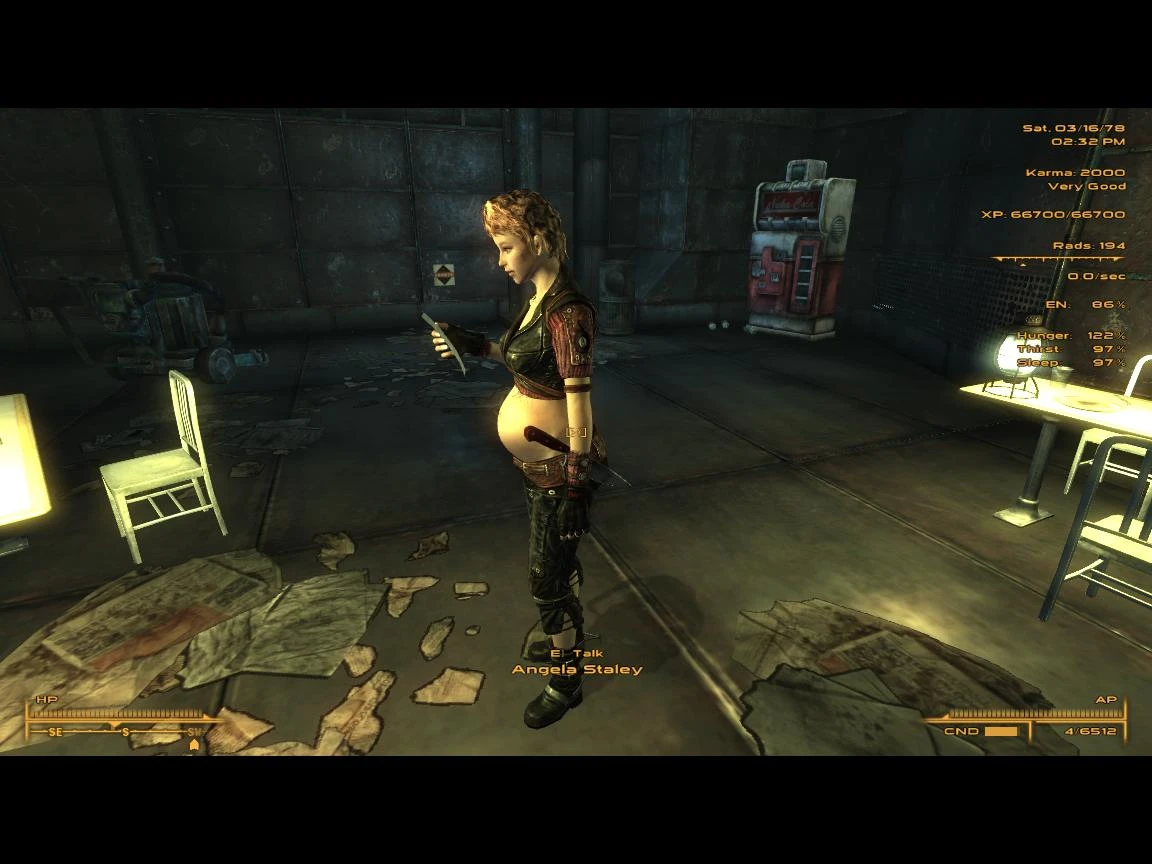 Pregnancy Armors at Fallout 3 Nexus - Mods and community