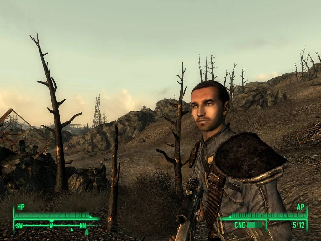 Beard Scruff at Fallout 3 Nexus - Mods and community