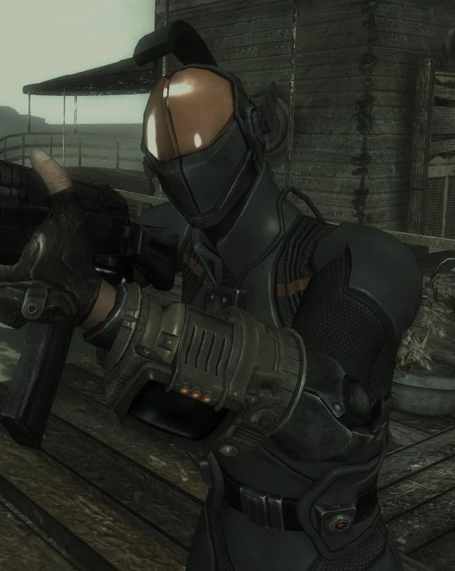 fallout 3 nexus chinese stealth
