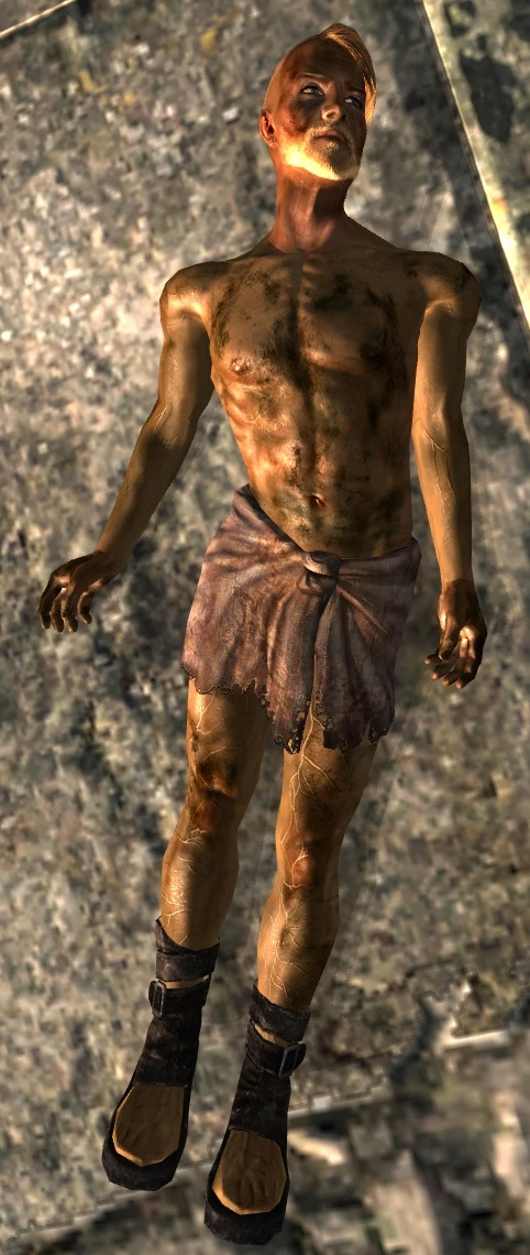 Underwear Replacer At Fallout3 Nexus Mods And Community