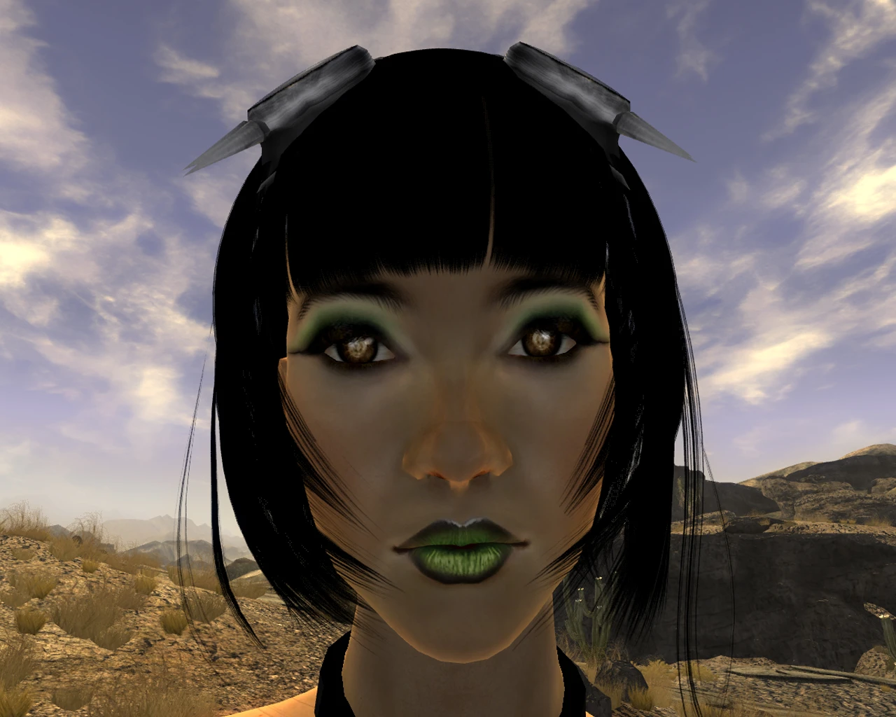 Many Faces At Fallout 3 Nexus Mods And Community
