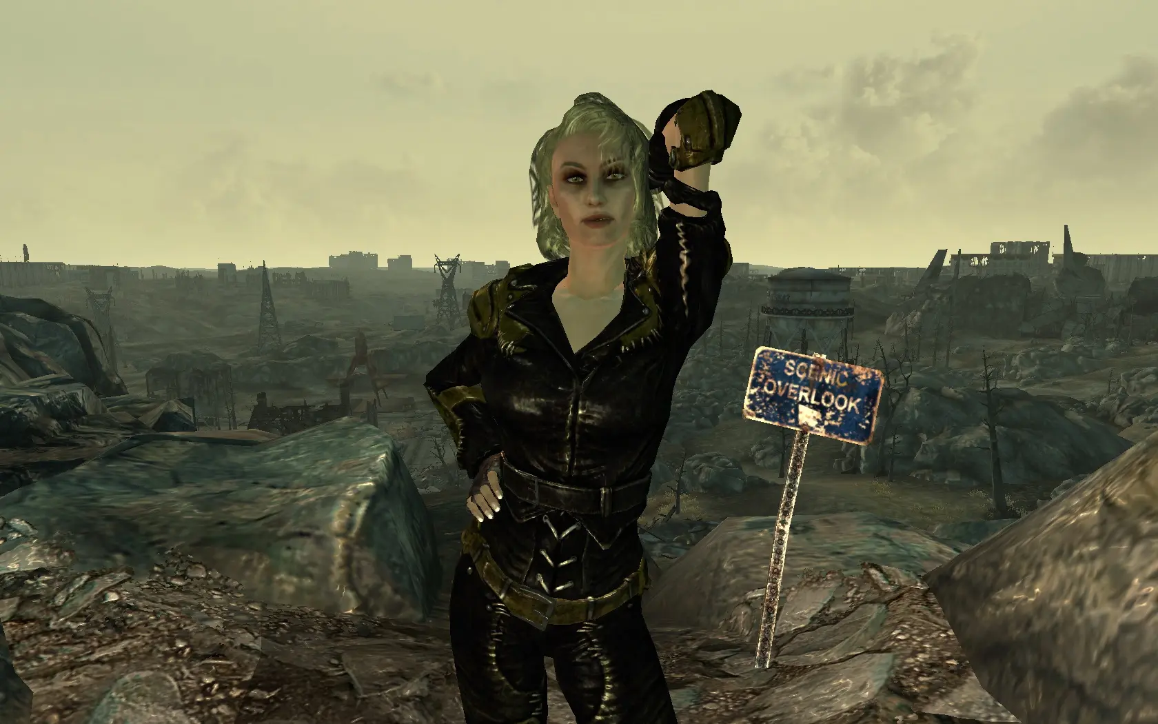 fallout 3 companion mod