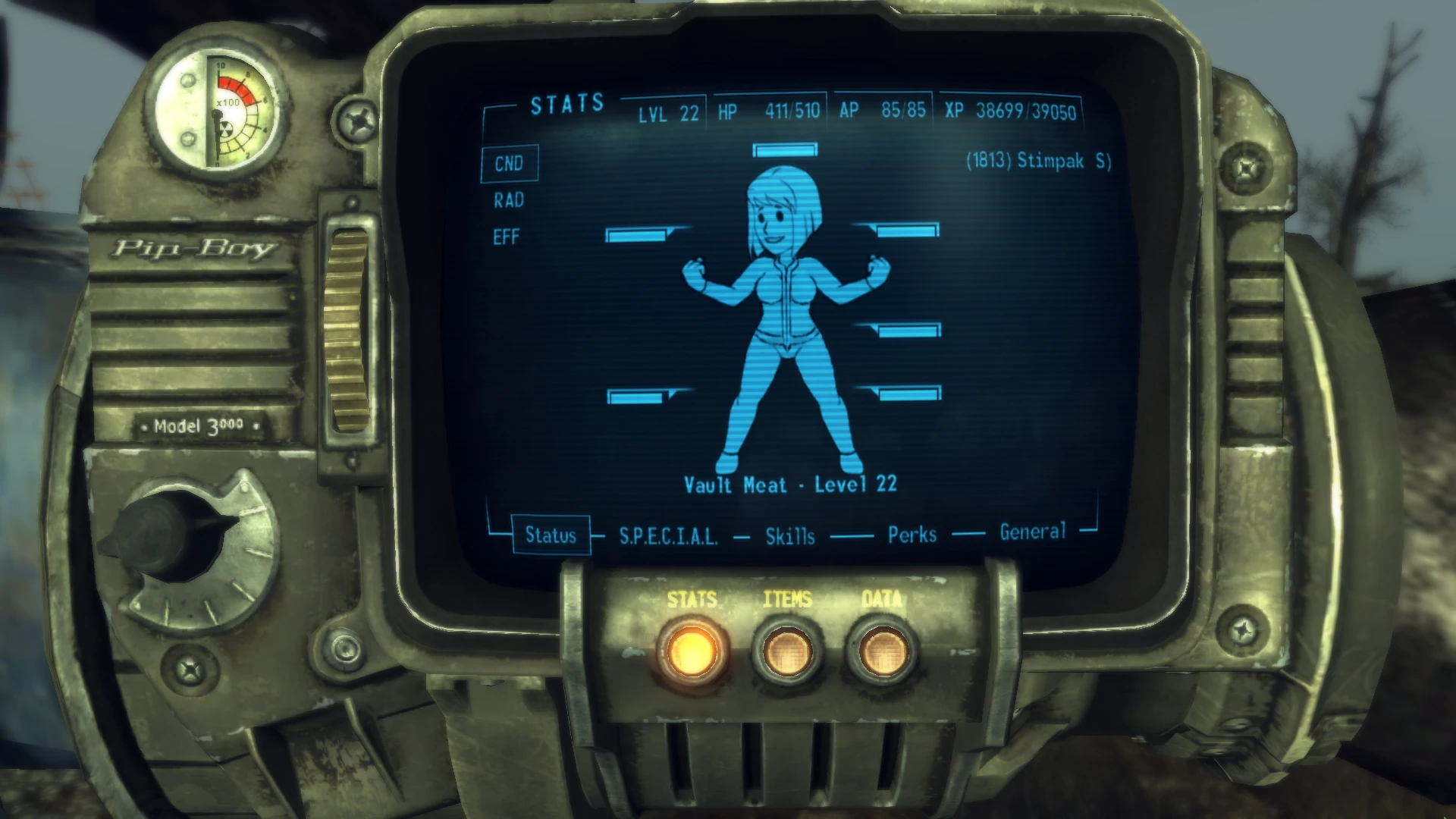 Fallout 4 vault meat pip boy фото 42
