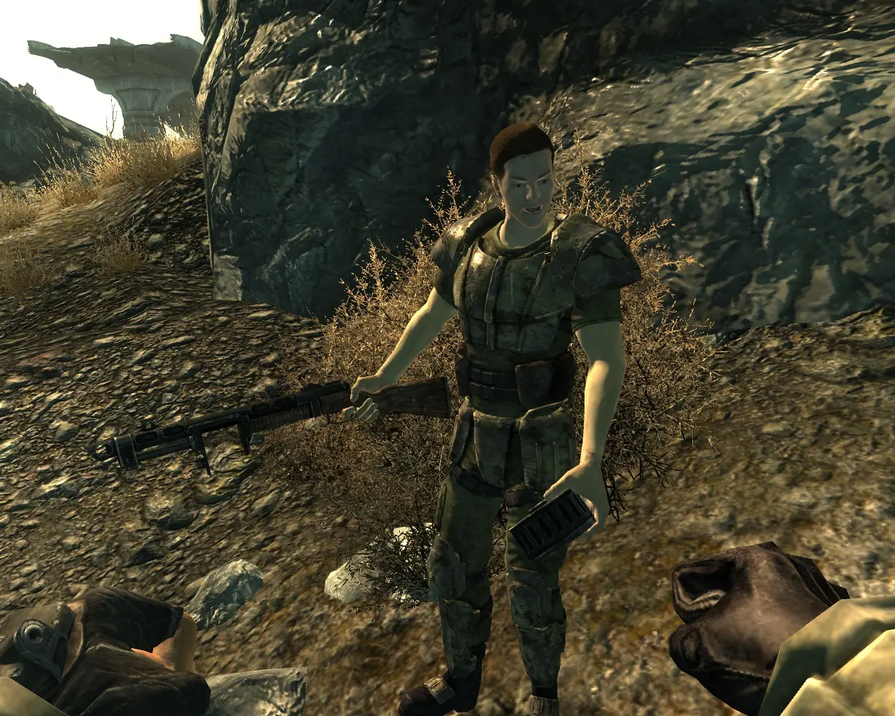 fallout 3 nexus patch