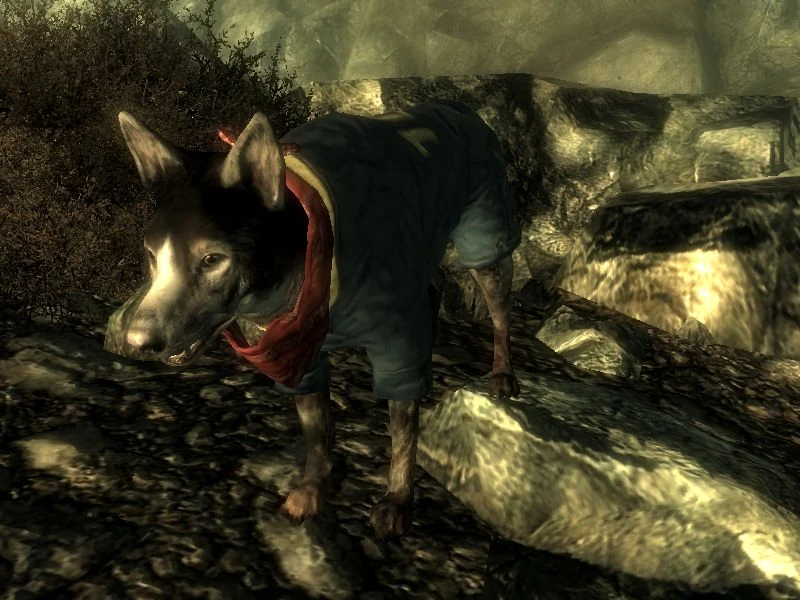 dog meat fallout 3