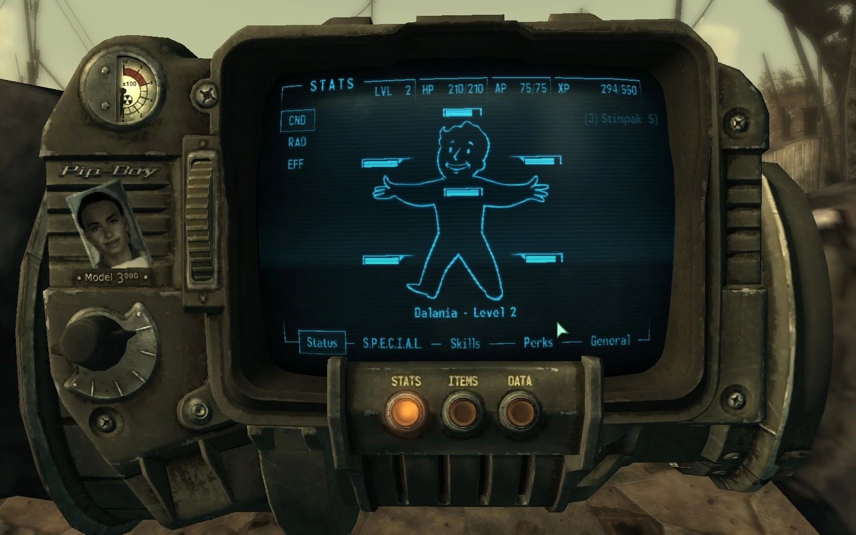 Fallout 4 pip boy экран фото 113