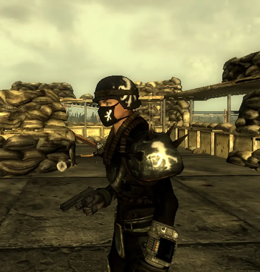 fallout 3 nexus fwe