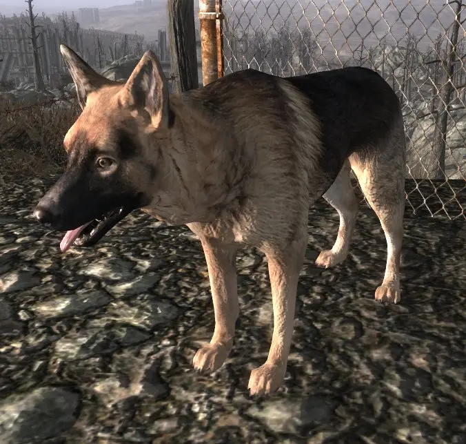 Unique Dogmeat at Fallout3 Nexus - mods and community