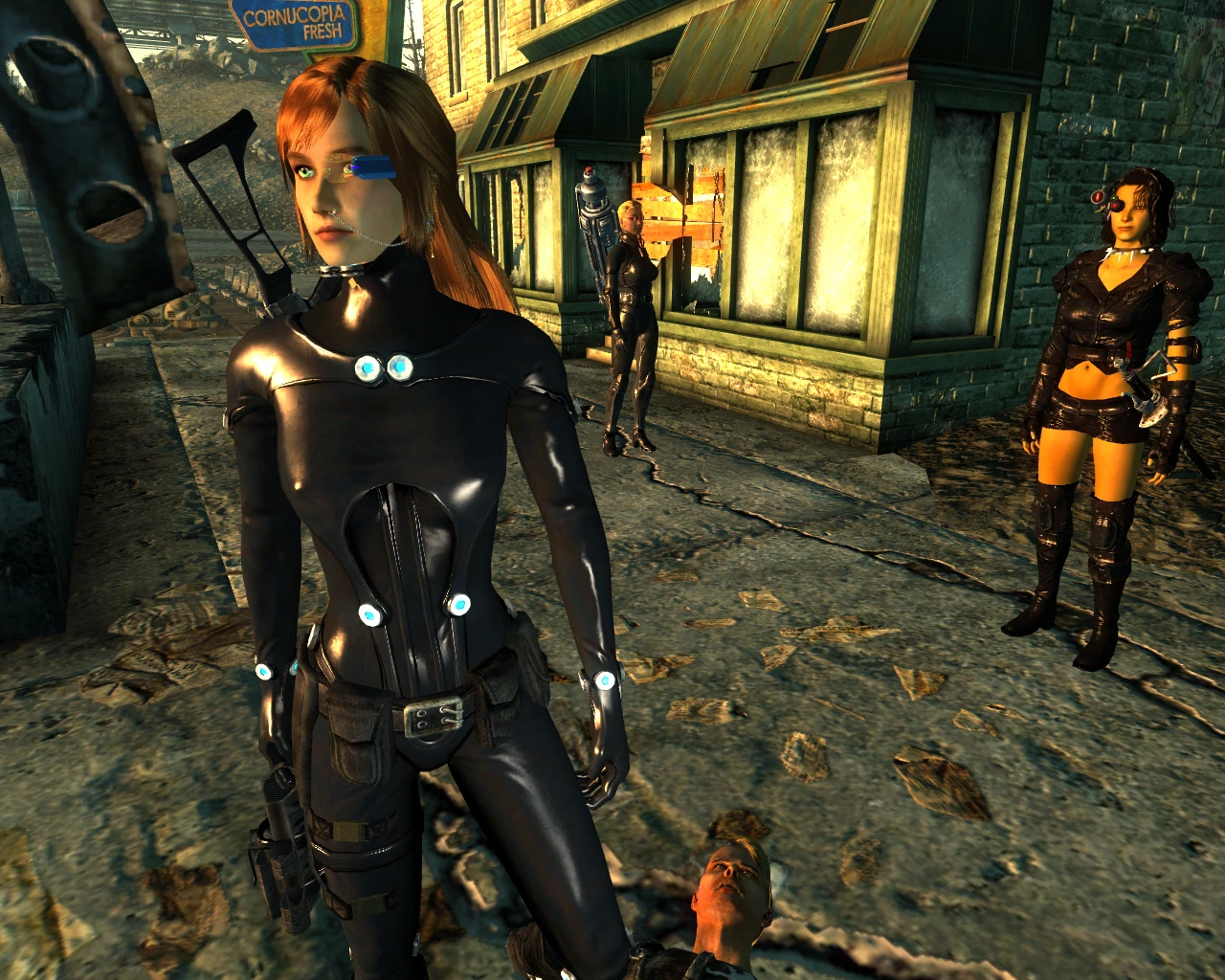 install fallout 3 mods