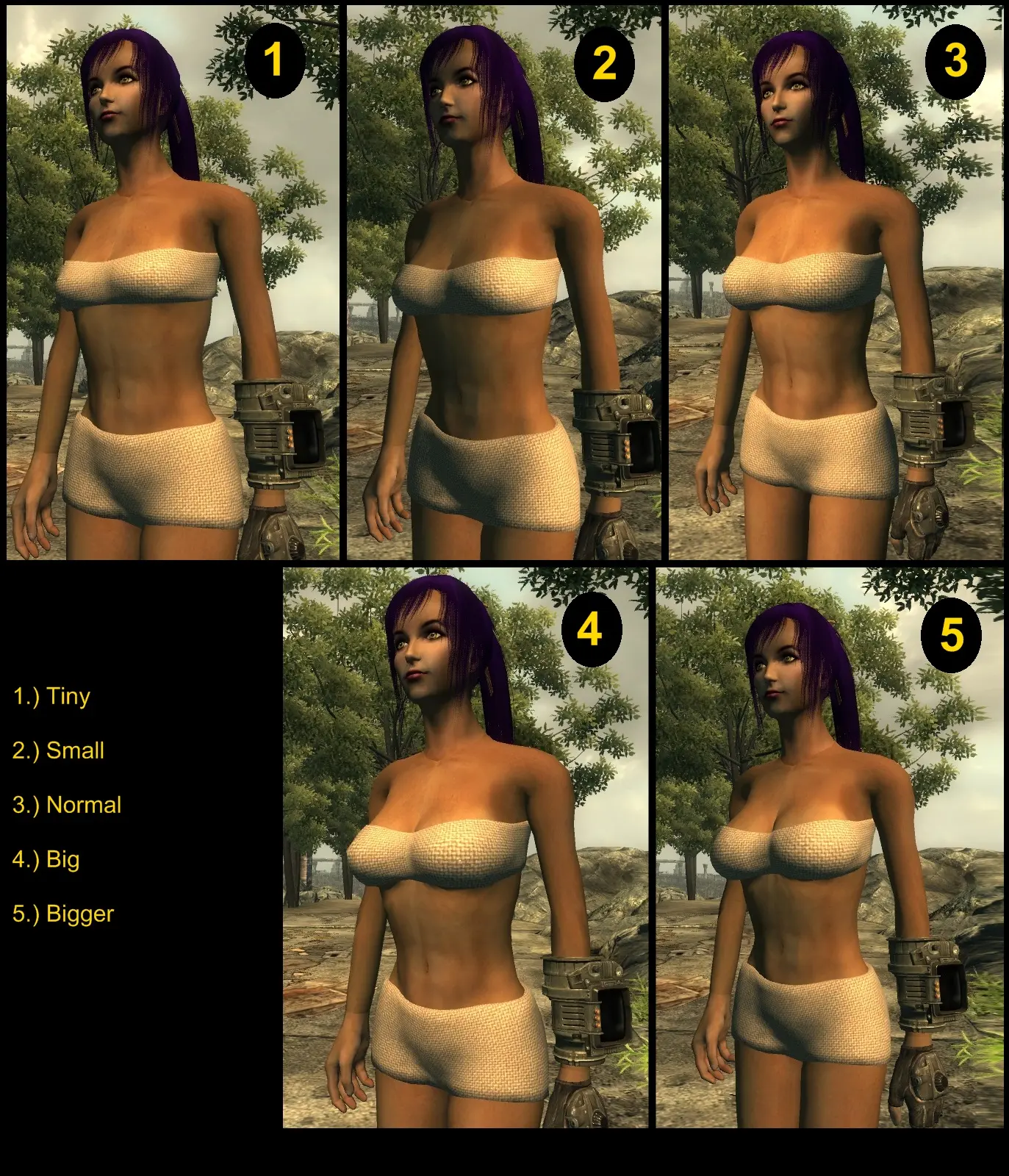 Fallout 3 Porn Pics