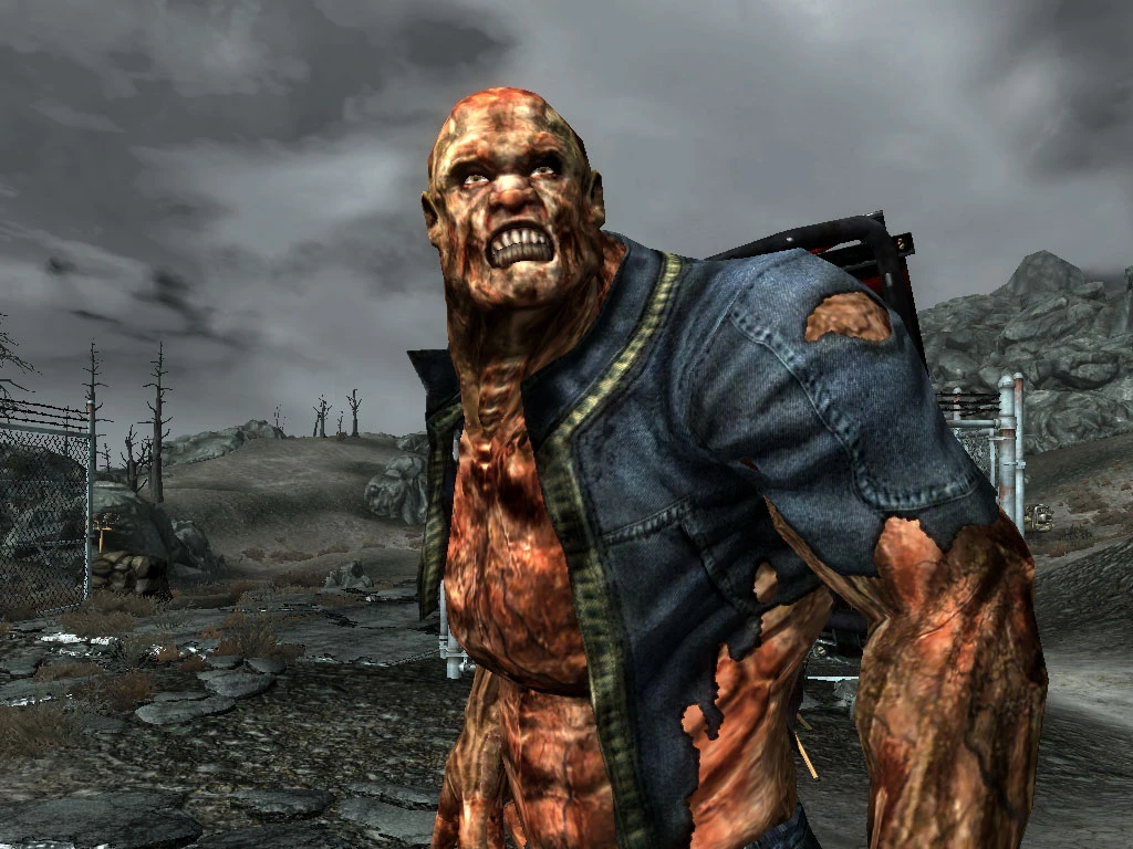 Fallout 3 Mods Nexus