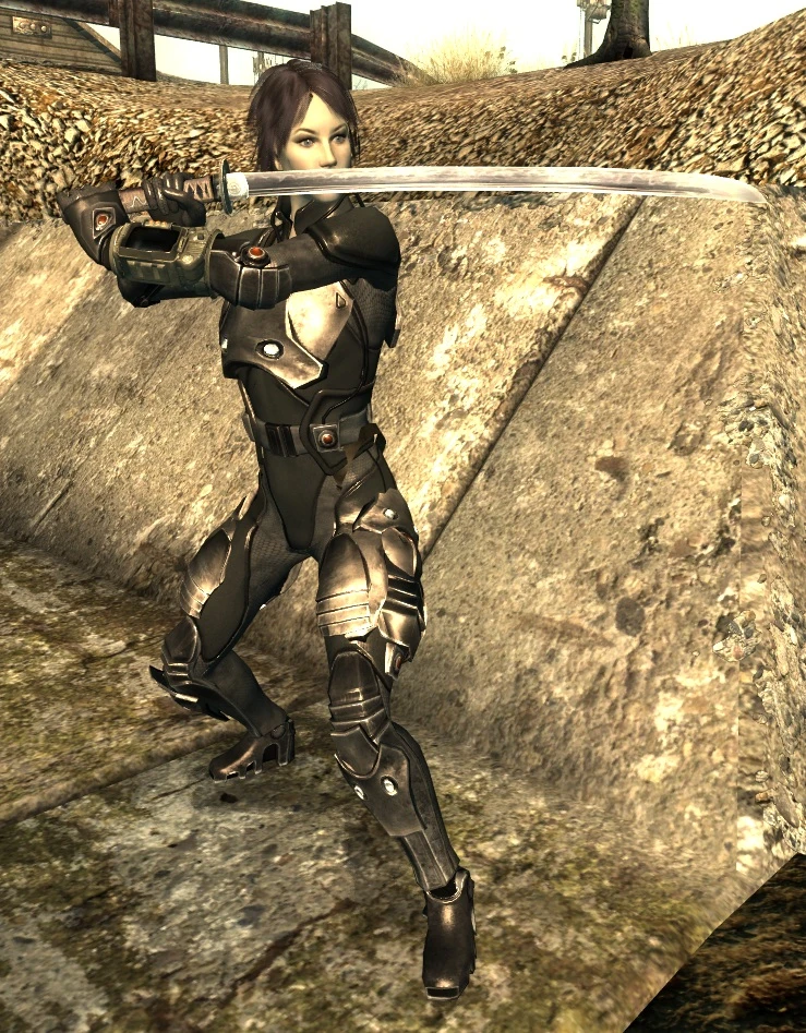 fallout new vegas katana mods