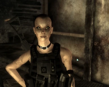 Fallout 3 - My new companion, The slightly lesbian looki…