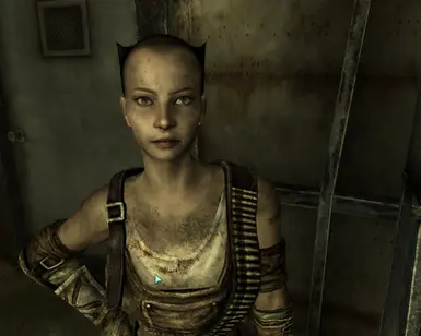 Fallout 3 - My new companion, The slightly lesbian looki…