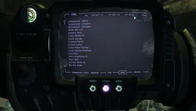 In your Pipboy