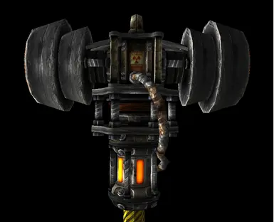 The head