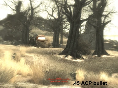 ACP bullet