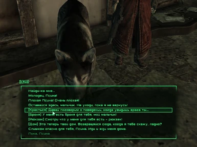 Dogmeat Leather Armor Rus at Fallout 3 Nexus - Mods and community