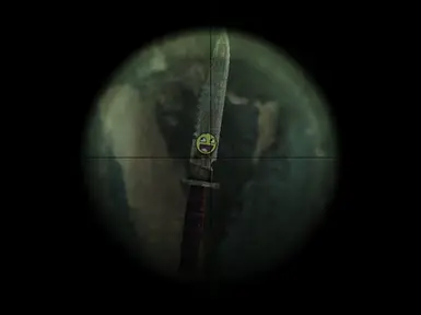 Zoomed In World Model