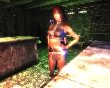 Brooke - Exnem Bigger Breasts RR Companion at Fallout 3 Nexus - Mods and  community