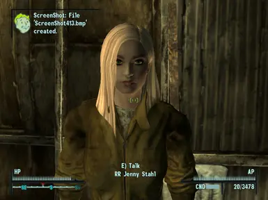 RR Vanilla Companions at Fallout 3 Nexus - Mods and community