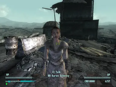 RR Vanilla Companions at Fallout 3 Nexus - Mods and community