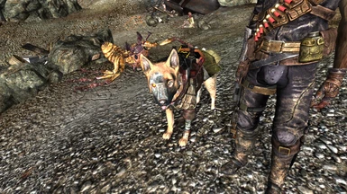 Dogmeat runs with batterys now