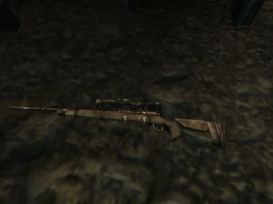The Gun from the side scope looks strange from side