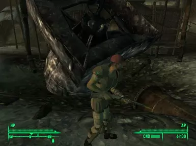 Shotgun in Hands