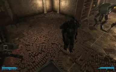 2000 shotgun shells on the floor