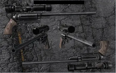 308 Revolvers