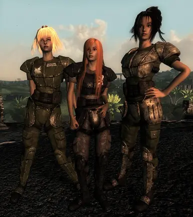 Mannequin Race Companions FO3 at Fallout 3 Nexus - Mods and community