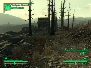 Welcome to Lloyds Shack
