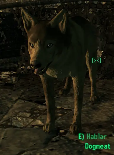golden DOGMEAT