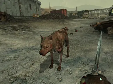 Ghoul Dogmeat