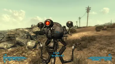 Enclave Sergeant RL-3
