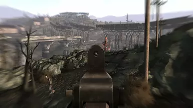 Iron sights on a Zombie