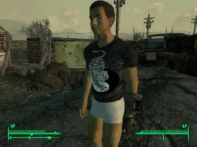 dansgaming fallout 3 mods