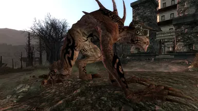 Claw 1
