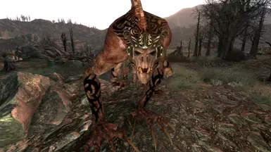 Claw 3